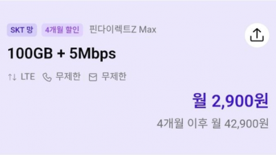 핀다이렉트SK 100기가+5MBPS 2900원