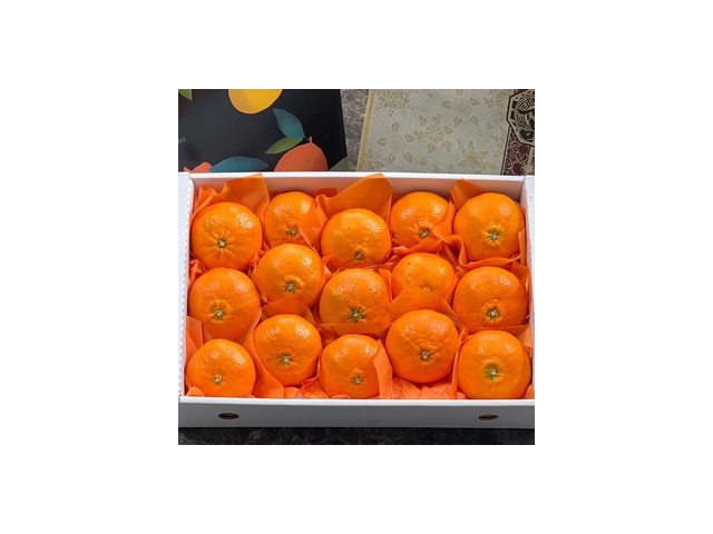 백록담특산물레드향 | 판매 기록 신화를 세운 베스트셀러 제품